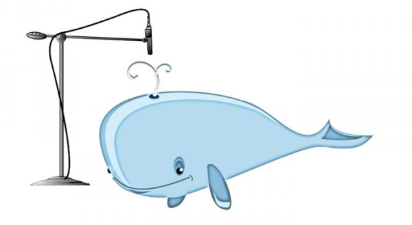 Name:  Whale-Clipart.jpg
Views: 821
Size:  11.8 KB