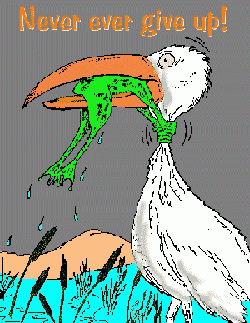 Name:  roda_zaba.gif
Views: 163
Size:  15.5 KB
