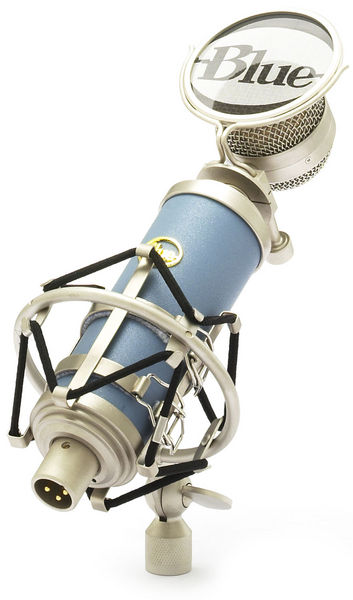 Name:  Blue Bluebird.jpg
Views: 680
Size:  33.1 KB