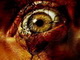 M@dafak@'s Avatar