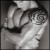 skolapper's Avatar