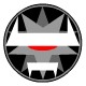 Ian's Avatar